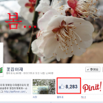 꽃집아재 페이지